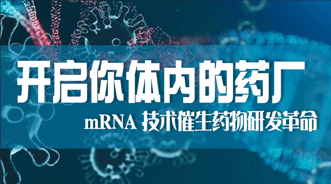 科普园地|“开启你体内的药厂”——mRNA 技术催生药物研发革命